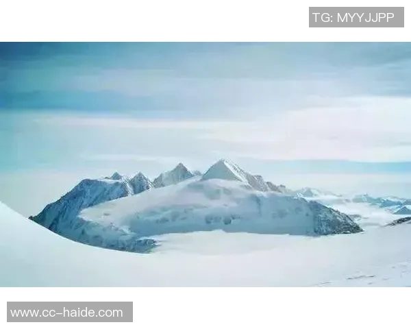 新赛季上海海港披冠军战袍再出发勇攀高峰续写辉煌传奇